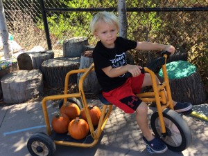 Pumpkins and bike 10-2017